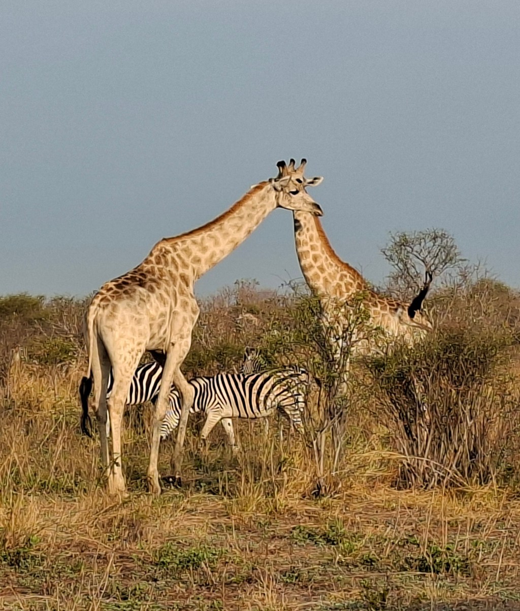 Botswana 1.4 – Kazakina Concession to Kwai Concession