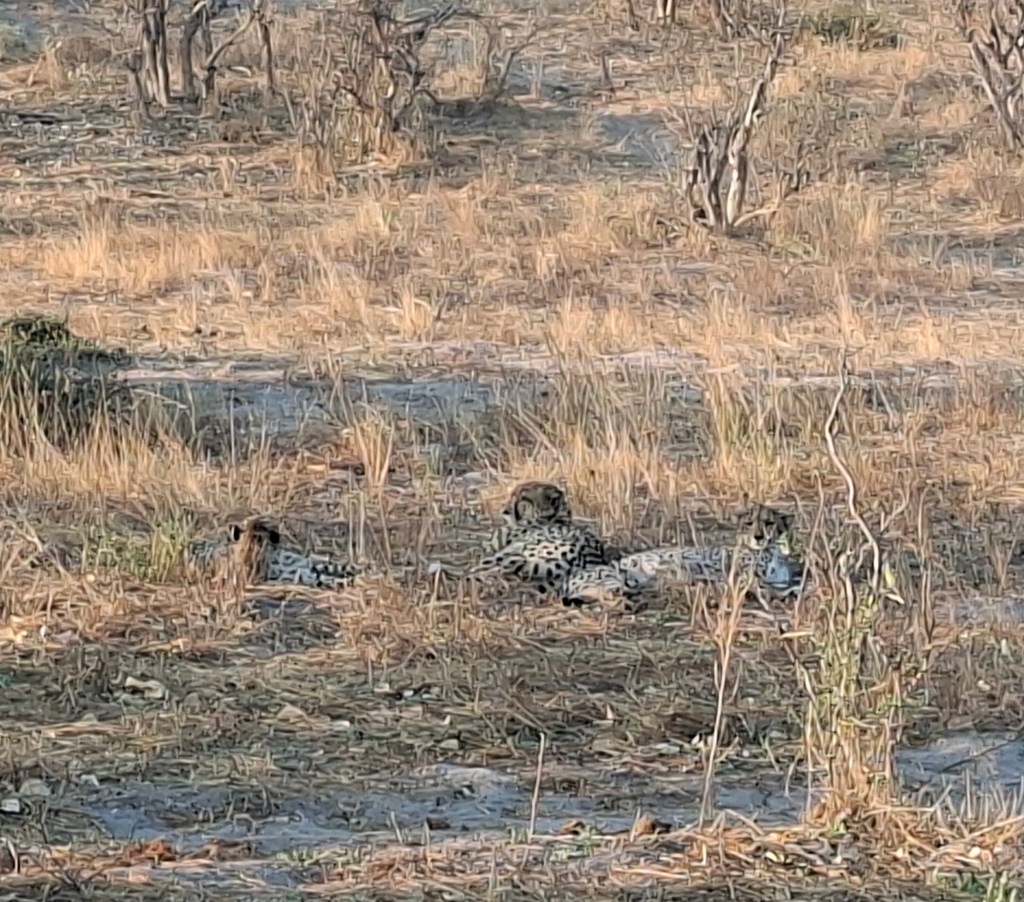 Botswana 1.7 – Kwai Concession to&nbsp;Savuti